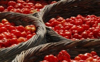 tomatoes-santorini-460x300